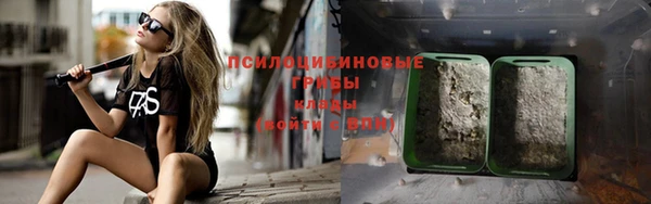 ГАЛЛЮЦИНОГЕННЫЕ ГРИБЫ Бородино