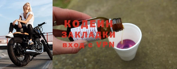 ГАЛЛЮЦИНОГЕННЫЕ ГРИБЫ Бородино