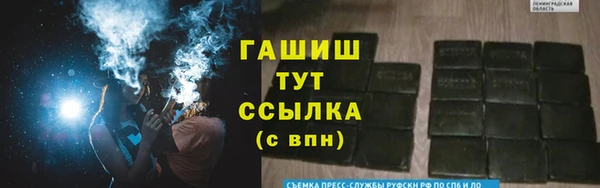ГАЛЛЮЦИНОГЕННЫЕ ГРИБЫ Бородино