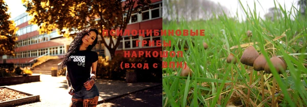 ГАЛЛЮЦИНОГЕННЫЕ ГРИБЫ Бородино