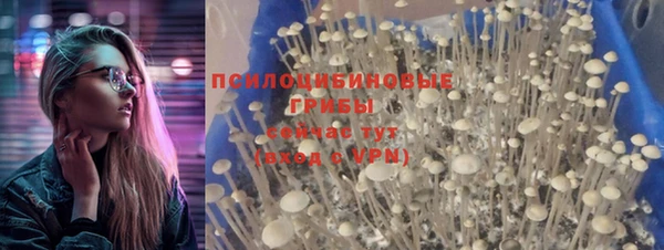мескалин Бронницы