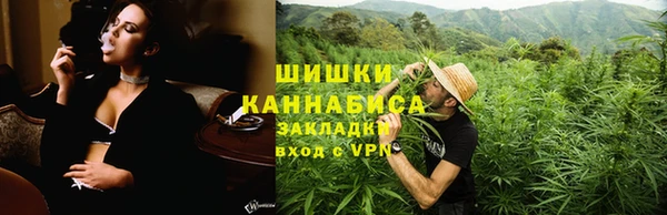 ГАЛЛЮЦИНОГЕННЫЕ ГРИБЫ Бородино