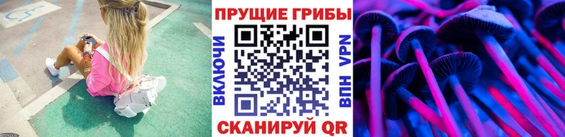 Галлюциногенные грибы Psilocybe  наркота  Новосибирск 